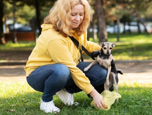 Commercial Pet Waste Removal Services